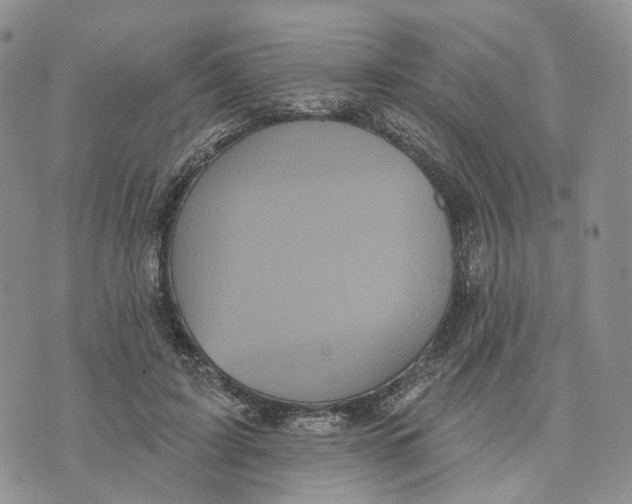 X0000070340595200606301743