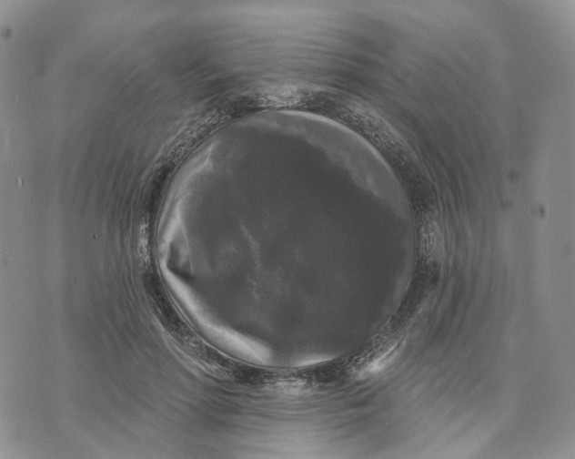 X0000070340598200606301743