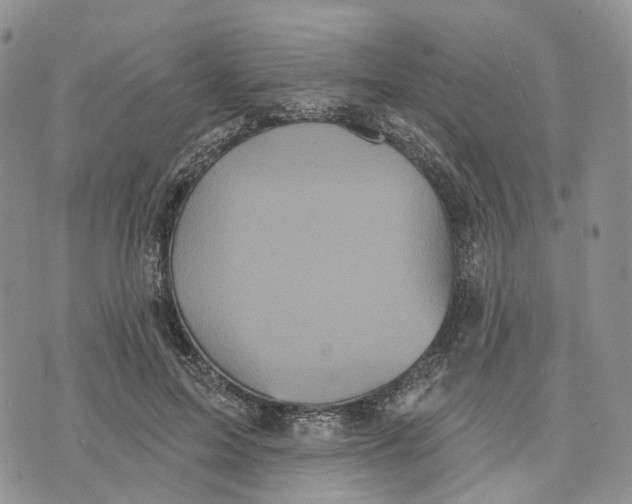 X0000070340599200606301743