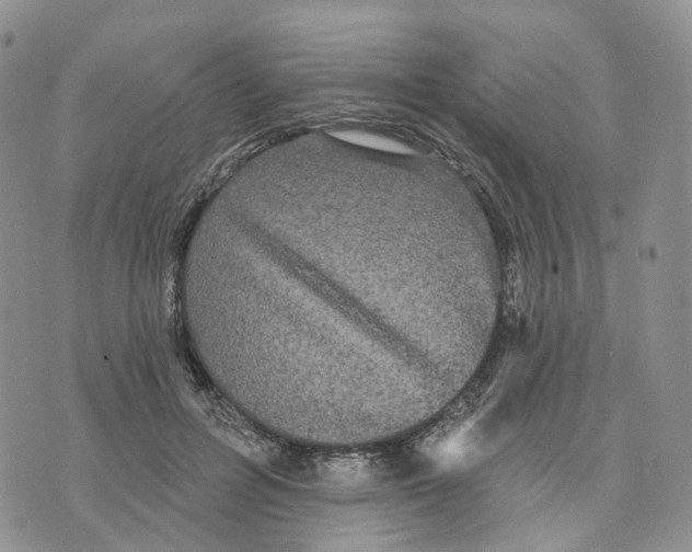 X0000070340600200606301743