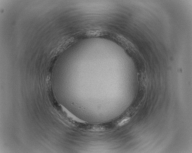 X0000070340601200606301742