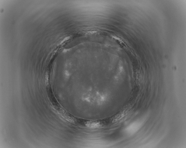 X0000070340602200606301742