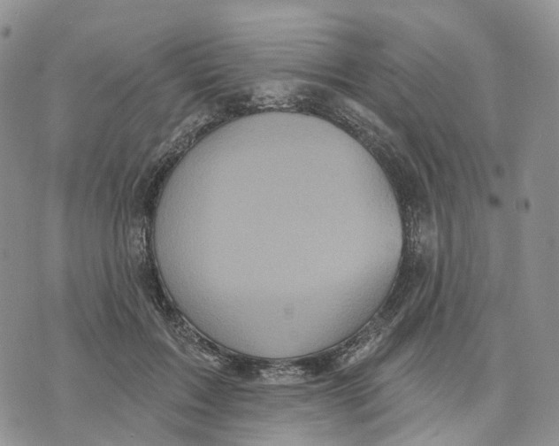 X0000070340603200606301742