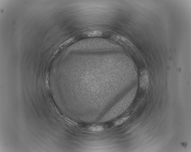 X0000070340604200606301742