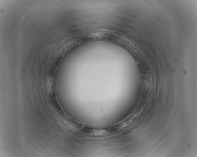 X0000070340605200606301742