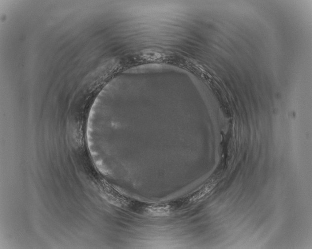 X0000070340606200606301742