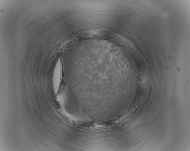 X0000070340607200606301742