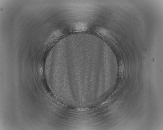 X0000070340608200606301742