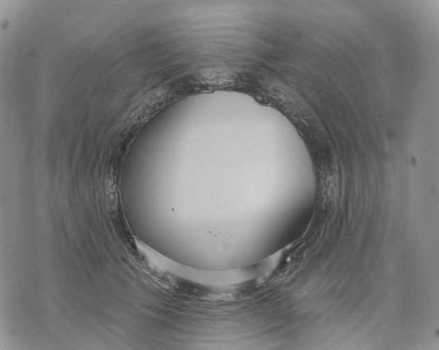 X0000070340609200606301742