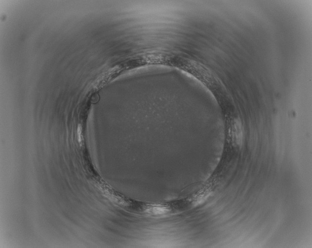 X0000070340610200606301742