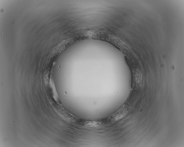 X0000070340611200606301742