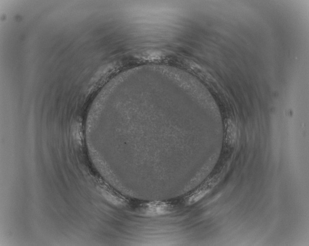 X0000070340612200606301742