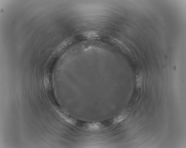 X0000070340618200606301742