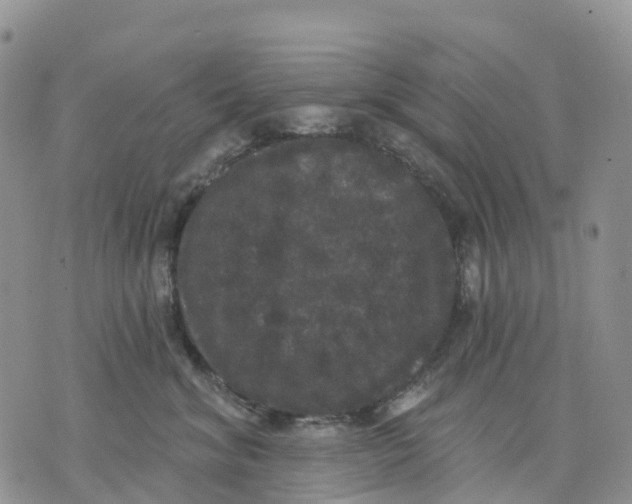 X0000070340620200606301742