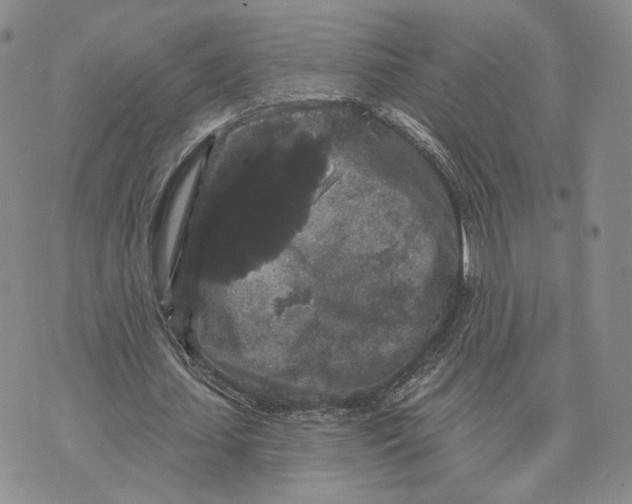 X0000070340627200606301741