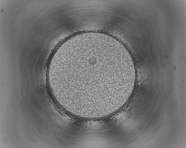 X0000070340632200606301741