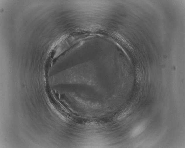 X0000070340634200606301741