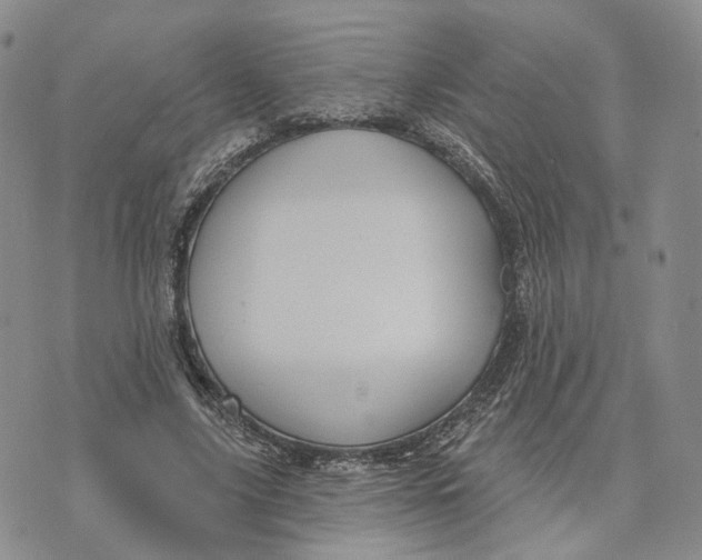 X0000070340635200606301741