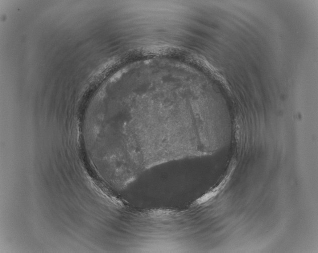 X0000070340637200606301742