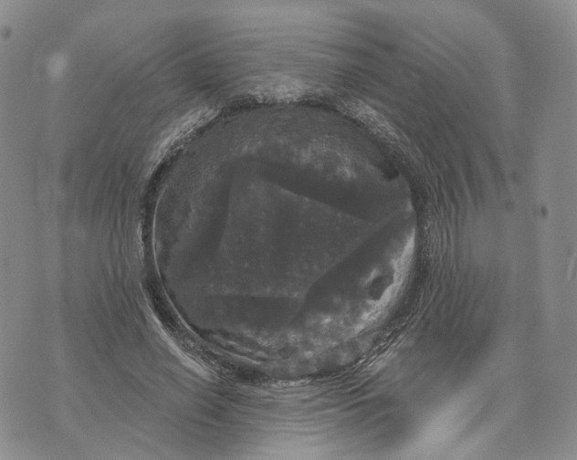 X0000070340638200606301742