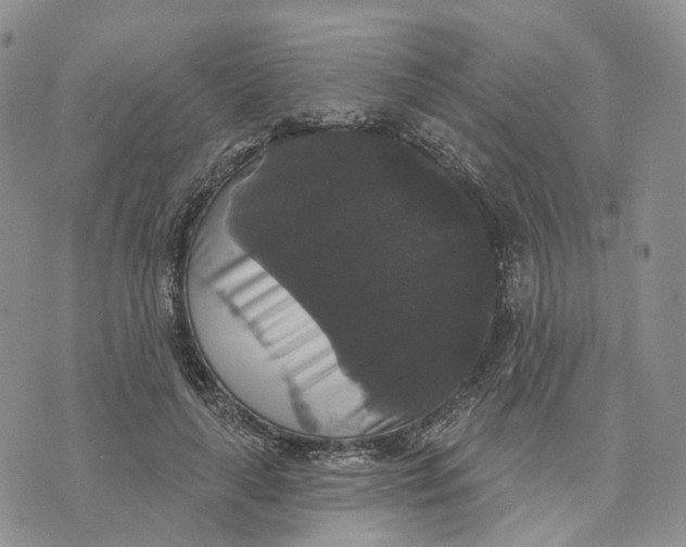 X0000070340643200606301742