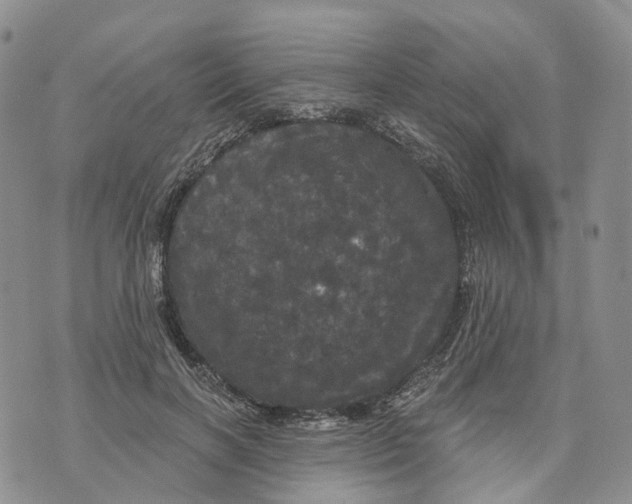 X0000070340646200606301742