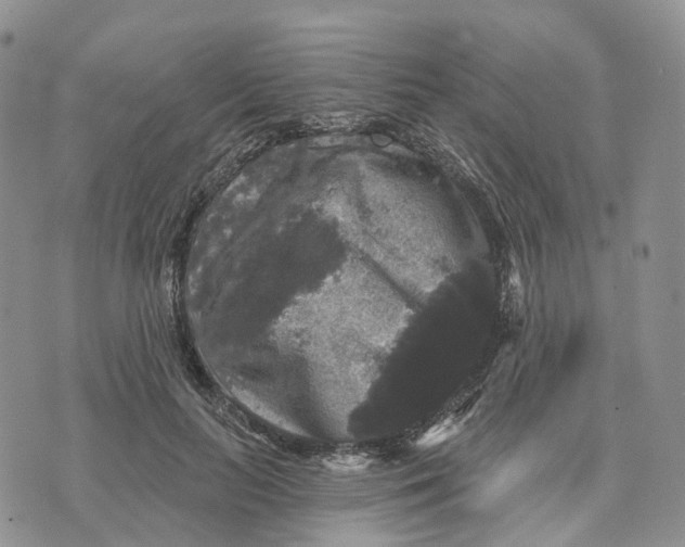 X0000070340647200606301742