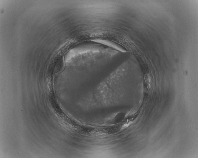 X0000070340648200606301742