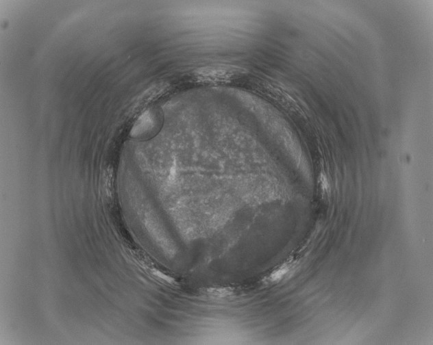 X0000070340649200606301742