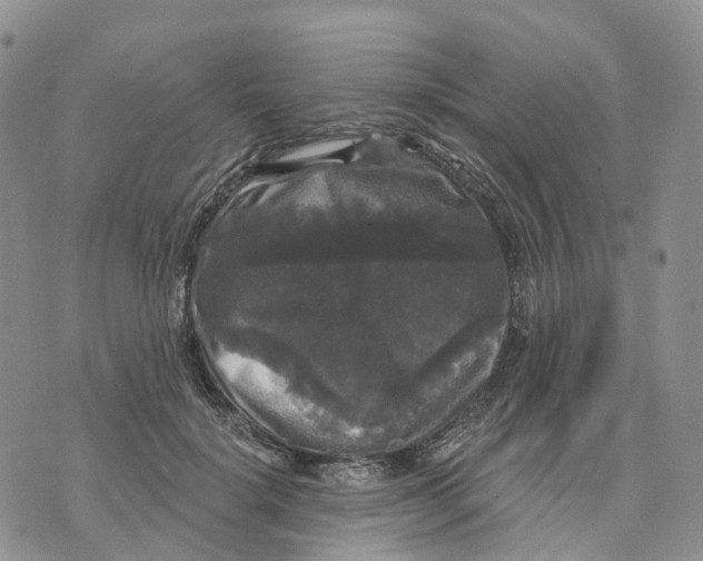 X0000070340652200606301742