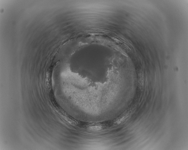 X0000070340653200606301742