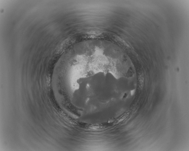 X0000070340657200606301742