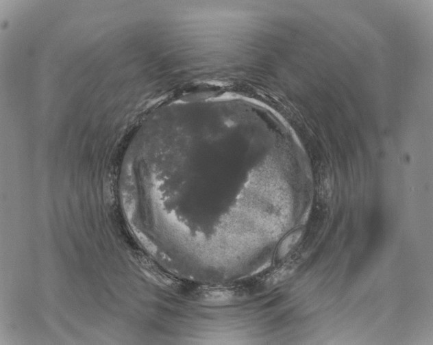 X0000070340658200606301742