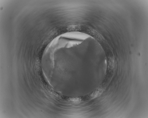 X0000070340659200606301742