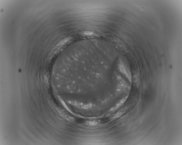 X0000070340662200606301742