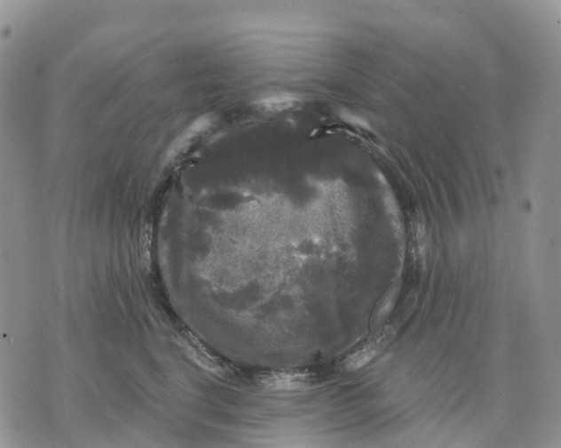 X0000070340664200606301742