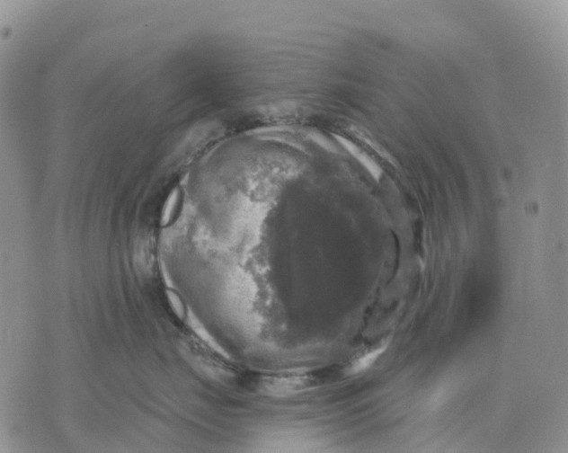 X0000070340671200606301742