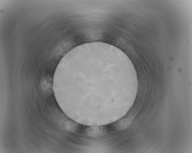 X0000070340672200606301742