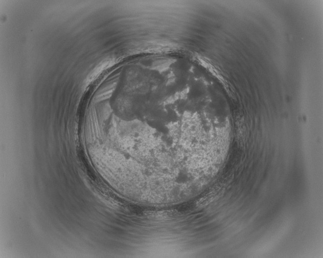 X0000070340679200606301741