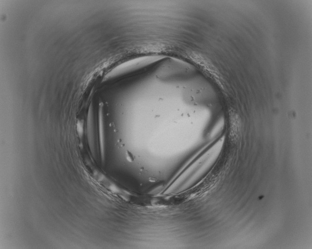 X0000070340681200606301741