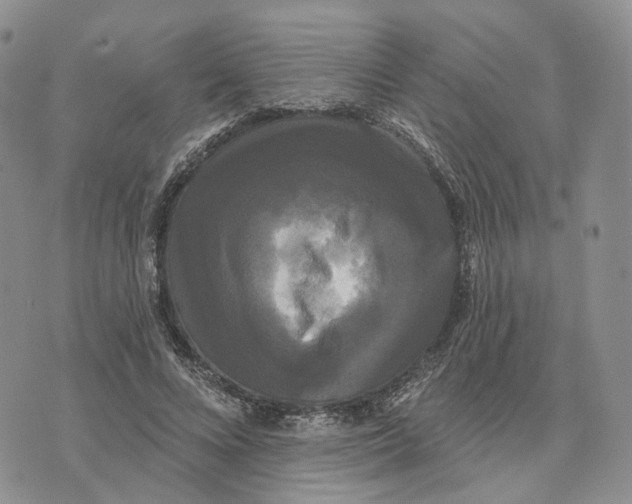 X0000070340688200606301741