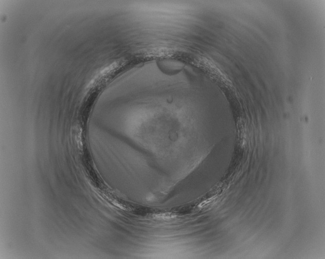 X0000070340692200606301741