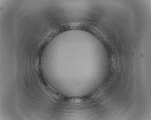 X0000070340698200606301741