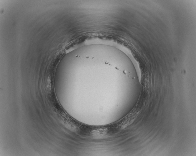 X0000070340700200606301741