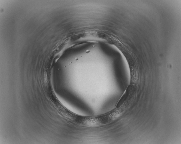 X0000070340704200606301741