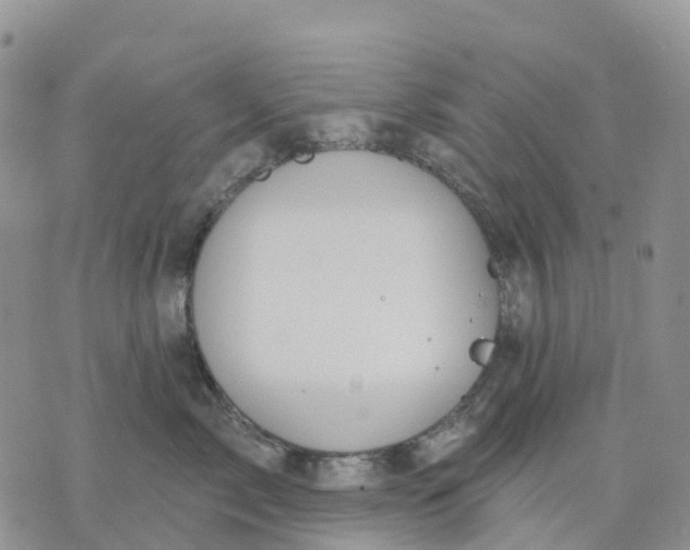 X0000070340717200606301741