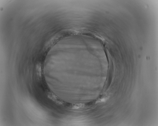 X0000070340720200606301741