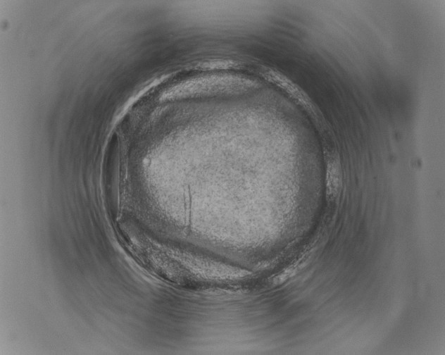 X0000070340722200606301740