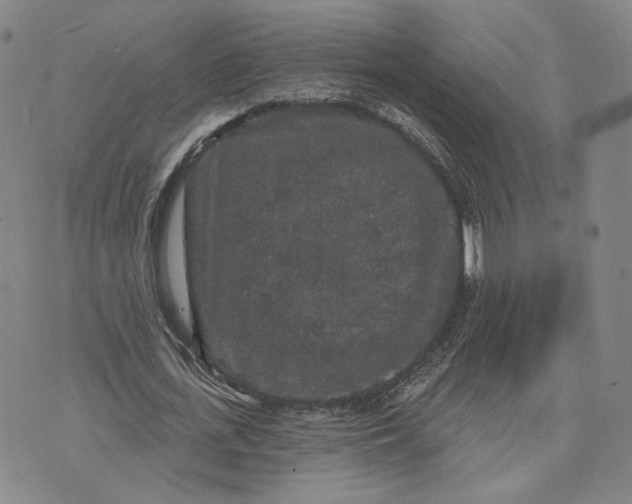 X0000070340723200606301740