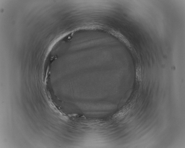 X0000070340724200606301740